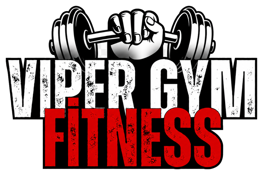 Viper Gym Fitness logosu