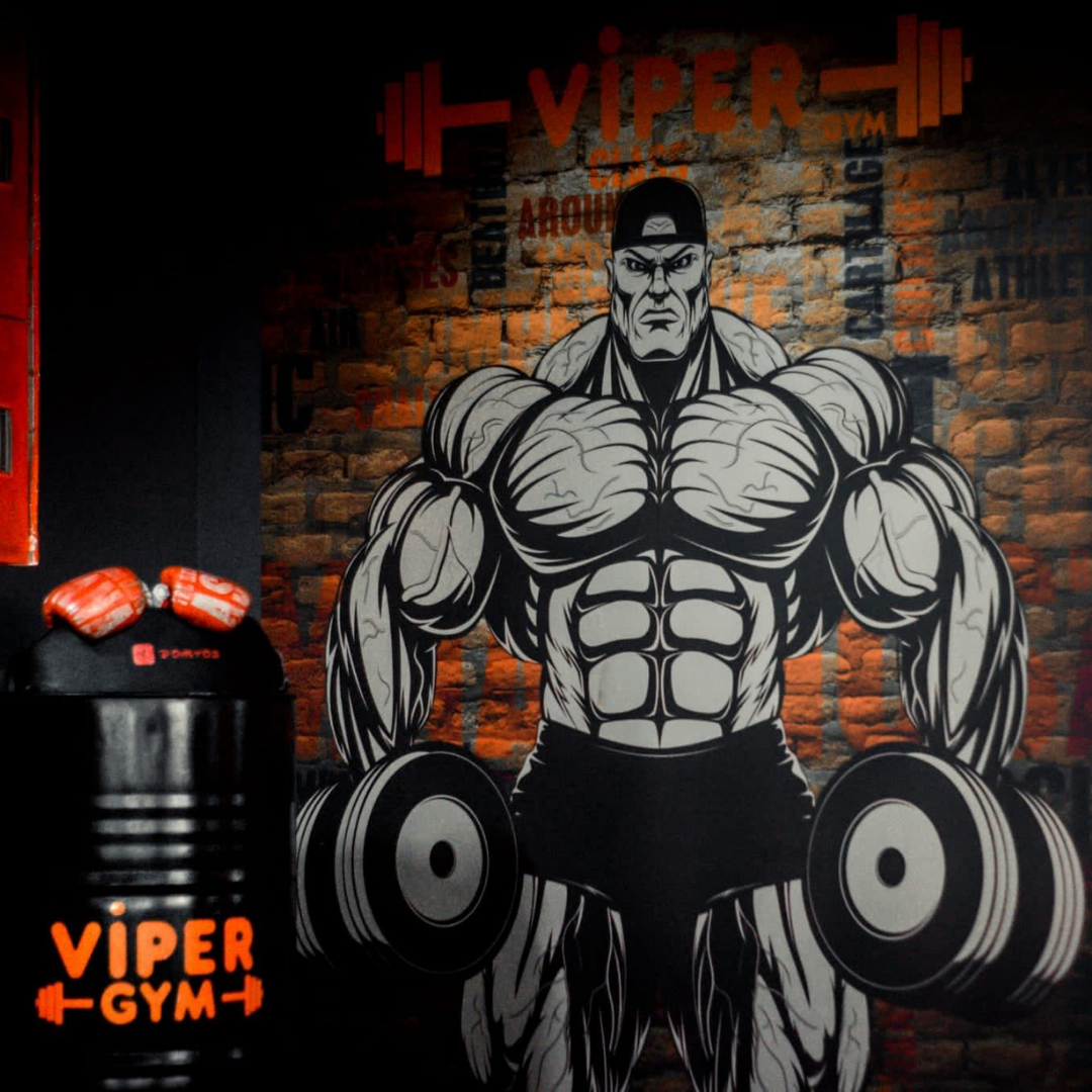 Viper Gym duvar tasarımı